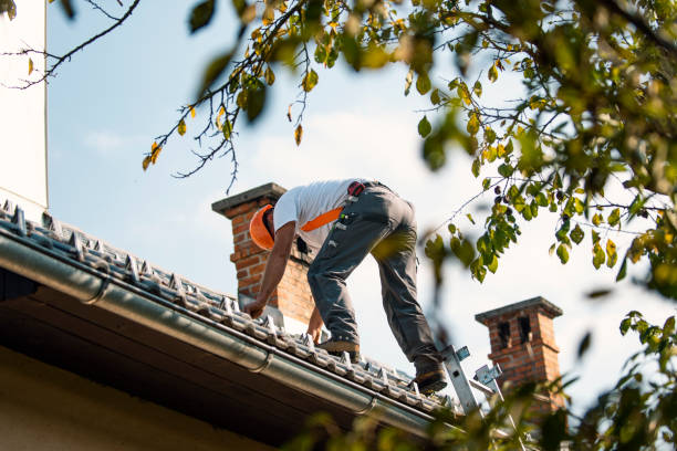 Best Cold Roofs  in Fairfield, IL