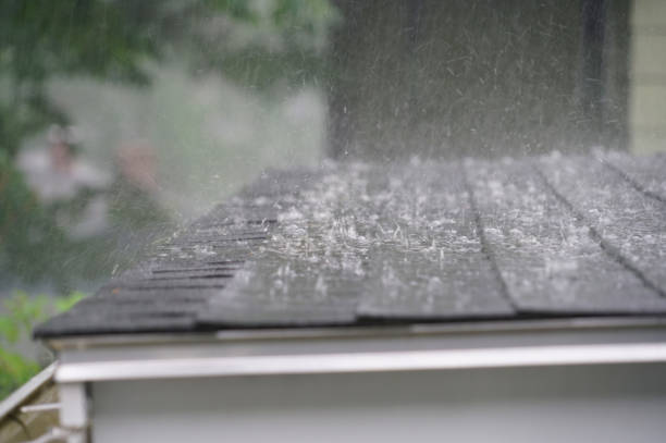 Best Roof Maintenance and Cleaning  in Fairfield, IL