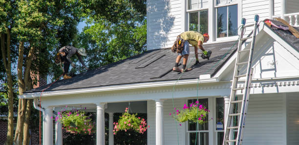 Best Roof Moss and Algae Removal  in Fairfield, IL